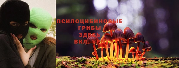 спайс Новозыбков