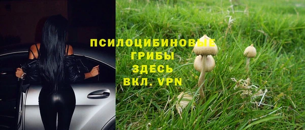 спайс Новозыбков
