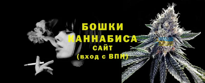 Шишки марихуана Amnesia  Новопавловск 